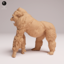 Animaldenjul15