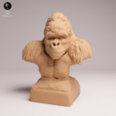Animaldenjul17