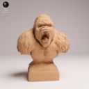 Animaldenjul18
