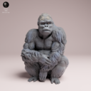 Animaldenjul19
