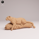 Animaldenjul2