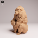 Animaldenjul20