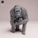 Animaldenjul21