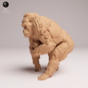 Animaldenjul22
