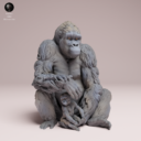 Animaldenjul23