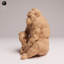 Animaldenjul24
