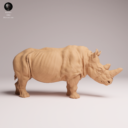 Animaldenjul26