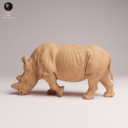 Animaldenjul28