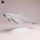 Animaldenjul29