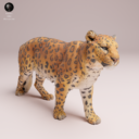 Animaldenjul3