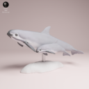 Animaldenjul31