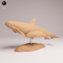 Animaldenjul32