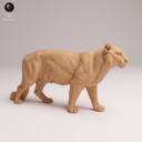 Animaldenjul4