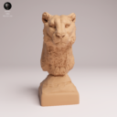 Animaldenjul5