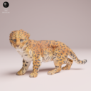 Animaldenjul6
