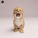 Animaldenjul8
