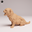 Animaldenjul9