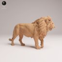ADM August Patreon 14