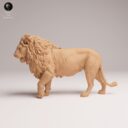 ADM August Patreon 15