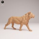 ADM August Patreon 17