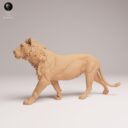 ADM August Patreon 18