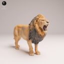 ADM August Patreon 22