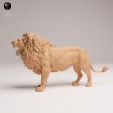 ADM August Patreon 23