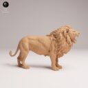 ADM August Patreon 24