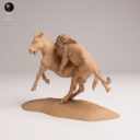 ADM August Patreon 26
