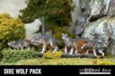 Crooked DireWolves 02