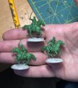 Scibor Polishuhlans Prev