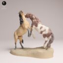 ADM September Patreon 1