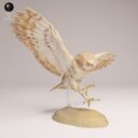 ADM September Patreon 25