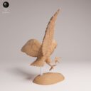 ADM September Patreon 26