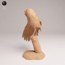 ADM September Patreon 29