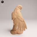 ADM September Patreon 30