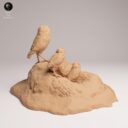 ADM September Patreon 33