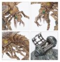 Games Workshop Ashwing Helamites 2