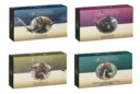 Shroudfall Skirmish Packs 1