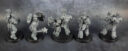 Unboxing Kill Team Tomb World 37