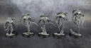 Unboxing Kill Team Tomb World 46