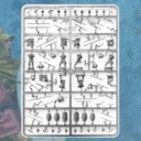 Victrix Thureophoroi09
