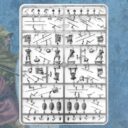 Victrix Prev