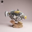 ADM Oktober Patreon 19