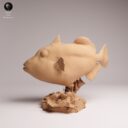 ADM Oktober Patreon 20