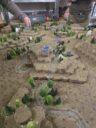 Ad Arma Clubvorstellung 06