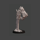 Chosen Of The Spirit Tree Skirmish Pack 4