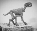 Diehard Miniatures Skeletal Dogs Preview 5