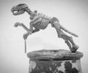 Diehard Miniatures Skeletal Dogs Preview 6