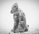 Diehard Miniatures Skeletal Dogs Preview 8